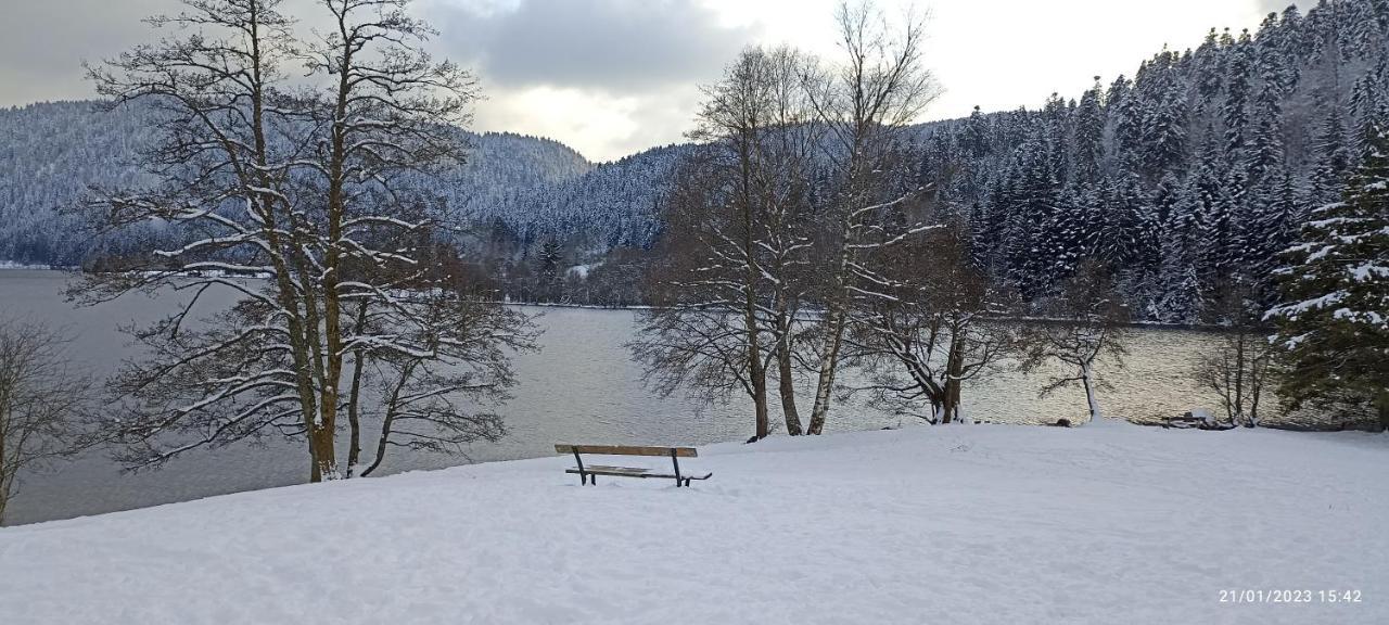 A 2 Pas Du Lac Apartment Xonrupt-Longemer Luaran gambar