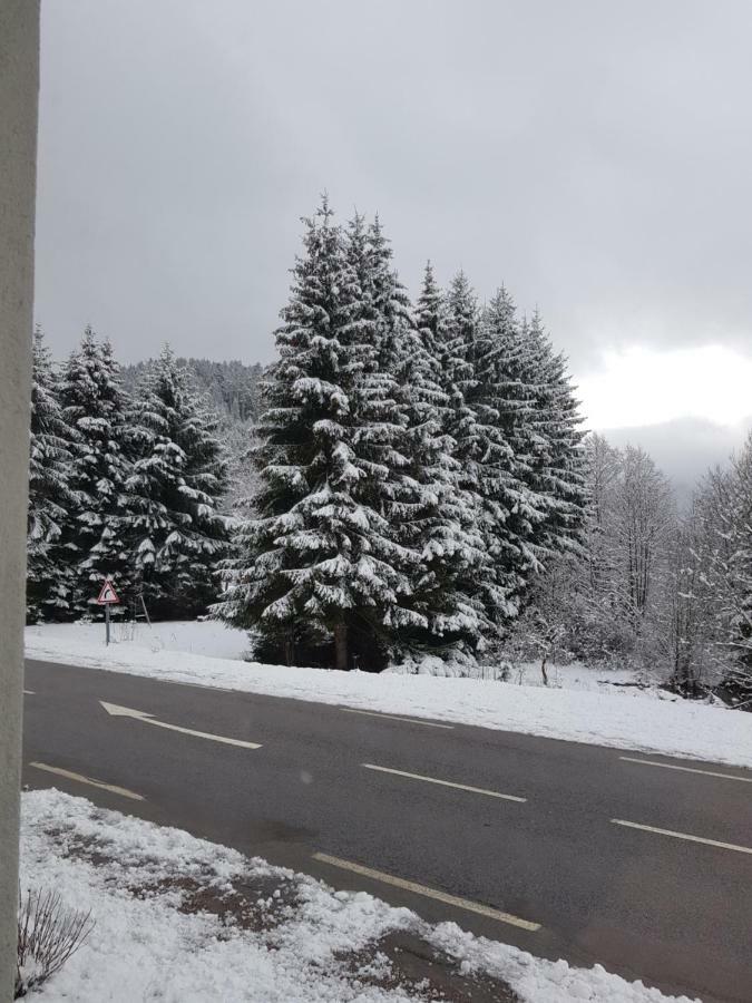 A 2 Pas Du Lac Apartment Xonrupt-Longemer Luaran gambar