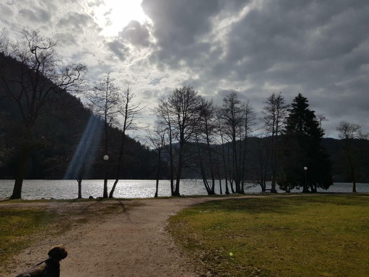 A 2 Pas Du Lac Apartment Xonrupt-Longemer Luaran gambar