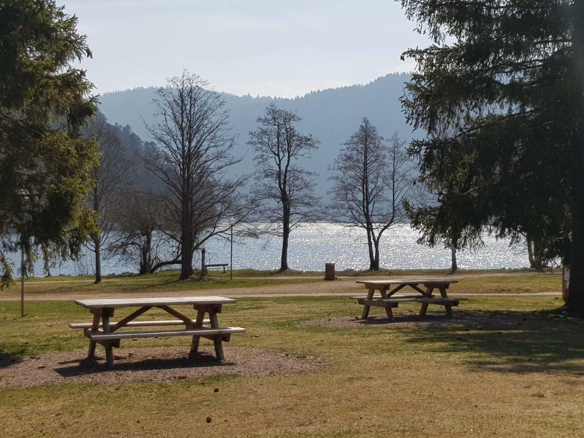 A 2 Pas Du Lac Apartment Xonrupt-Longemer Luaran gambar